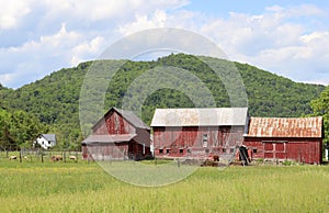 Scenes of Vermont - Red Barn