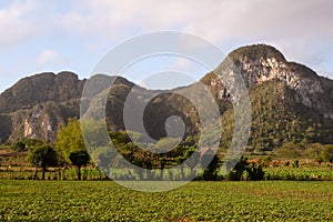 Scenes of Vinales, Cuba