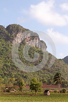 Scenes of Vinales, Cuba