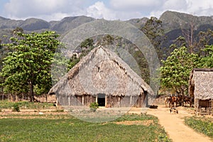 Scenes of Vinales, Cuba