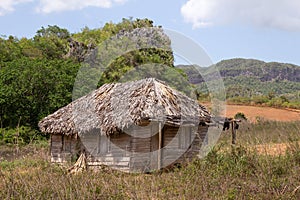 Scenes of Vinales, Cuba