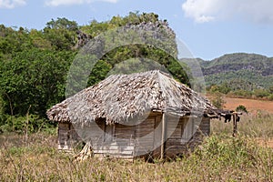 Scenes of Vinales, Cuba