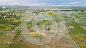 Scenic aerial view of green fields near Chennai, drone shot of agriculture field in India.