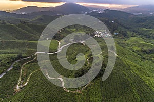 Scenic aerial view of sunrise with hillside covered with green leaf