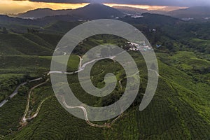 Scenic aerial view of sunrise with hillside covered with green leaf