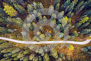 Scenic aerial view of a winding trekking path in a forest. Trekking path in the forest from above, drone view. Aerial top view of