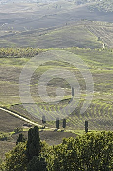 Scenic agriculture landscape in Tuscany