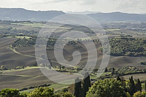 Scenic agriculture landscape in Tuscany