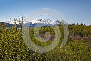 Scenic Alaskan wilderness