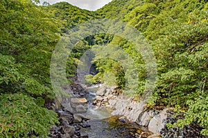Scenic Anbo river in Yakushima island, Kagoshima Prefecture Japan
