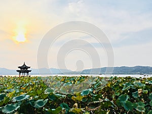 Scenic area of the West Lake