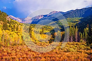 Scenic Aspen Lanscape