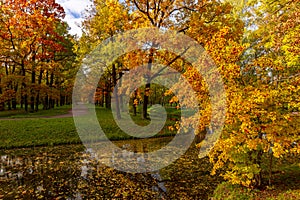 Scenic autumn in Alexander park, Tsarskoe Selo Pushkin, Saint Petersburg, Russia