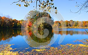 Scenic autumn lake