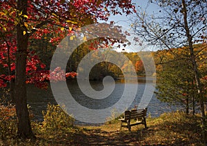 Scenic Autumn Lake