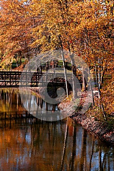 Scenic autumn landscape