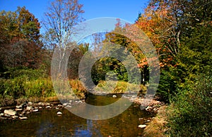 Scenic Autumn Landscape