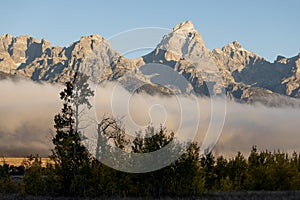 Scenic Autumn Landscape in Grand Teton National Park Wyoming