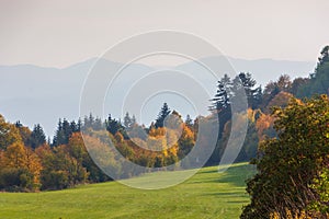 Malebná podzimní krajina se zelenou loukou a bujnými stromy. Krahule, Slovensko.