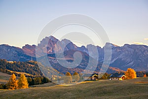 Scenic autumn landscape in the mountains with backlighted yellow larch, Alpe di Siusi, Dolomite Alps, Italy