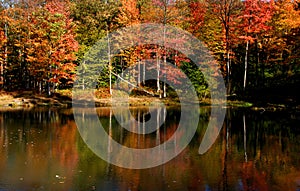 Scenic autumn landscape in Pennsylvania photo
