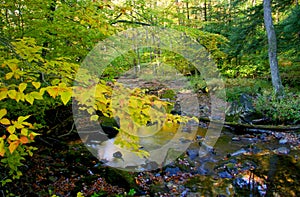 Scenic autumn landscape in Pennsylvania