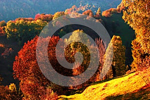 Scenic  autumn landscape,  stunning nature scenery, Ukraine