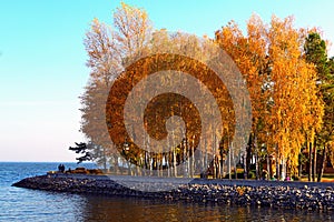 Scenic autumn landscape view of river and embankment with golden color trees against blue sky. Picturesque golden autumn