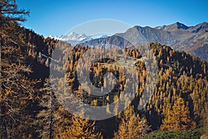 Coloroful autumn mountains landscape, italian Alps