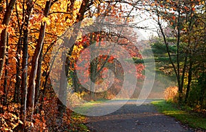 Scenic autumn road