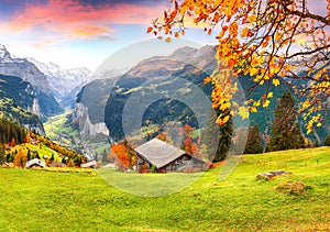 Scenic autumn view of picturesque alpine Wengen village and Lauterbrunnen Valley