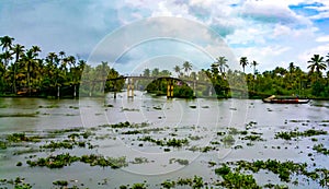 Scenic backwaters of Alleppey during monsoon, India