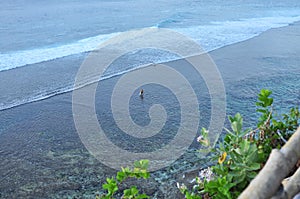 Scenic Bali Coast Landscape