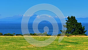 Scenic bay of Lake Taupo with a view of snow mountains in the distant