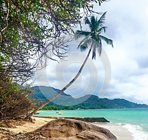 Scenic beach view, Mahe island, Seychelles