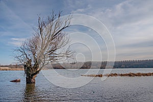 Scenic beautiful fall autumn lake landscape scenery at sundown