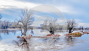 Scenic beautiful fall autumn lake landscape scenery at sundown