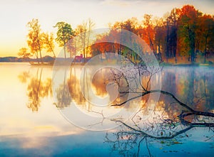 Scenic beautiful fall autumn lake landscape, scenery at sundown