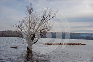 Scenic beautiful fall autumn lake landscape scenery at sundown