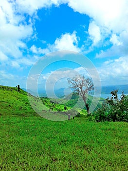 Scenic beautiful green landscapes near Satara, Maharashtra, India