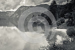 Scenic beautiful lake bohinj in summertime, slovenia in black and white