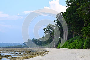 Scenic and Beautiful Stony Beach with Littoral Forest with Tall Sea Mohua Trees - Laxmanpur, Neil Island, Andaman Nicobar, India