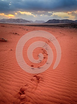 Scenic beautiful sunset in Wadi Rum desert, Jordan