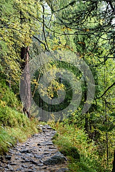 Scenic and beautiful tourism trail in the park Slovensky raj, Slovakia