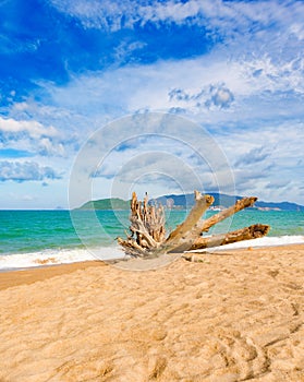 Scenic beautiful view of Nha Trang beach