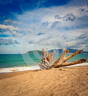 Scenic beautiful view of Nha Trang beach