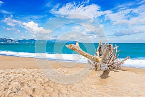 Scenic beautiful view of Nha Trang beach