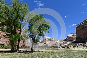 The Scenic Beauty of Colorado. Steamboat Rock on the Yampa River in Dinosaur National Monument