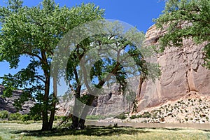 The Scenic Beauty of Colorado. Steamboat Rock on the Yampa River in Dinosaur National Monument