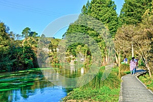 Scenic beauty, Waikato, New Zealand. Te Waihou walkway at the Blue Spring